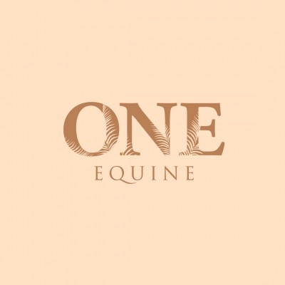 ONE EQUINE